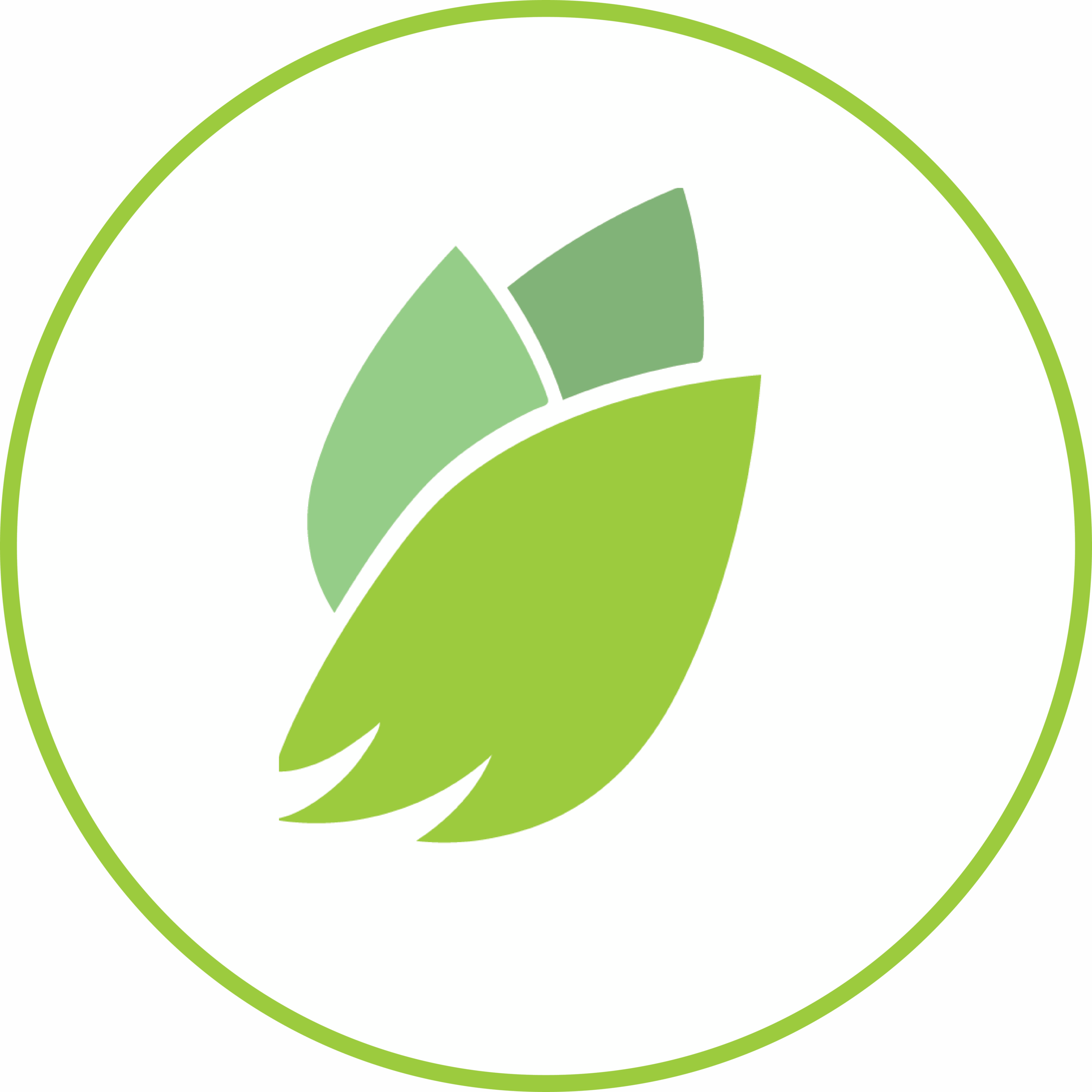 AWood_Iconresize